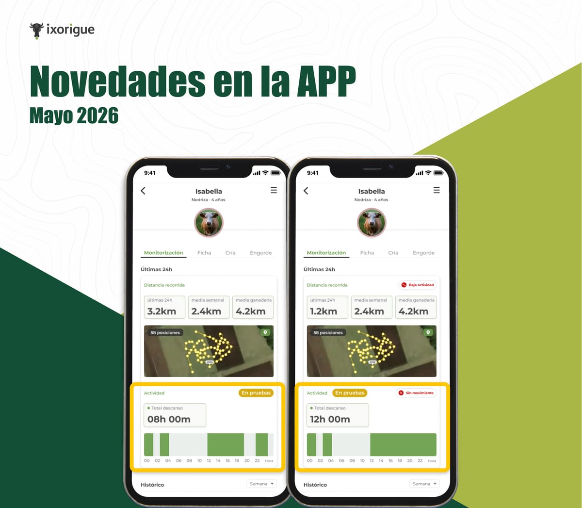 Novedades versión 2.15.2