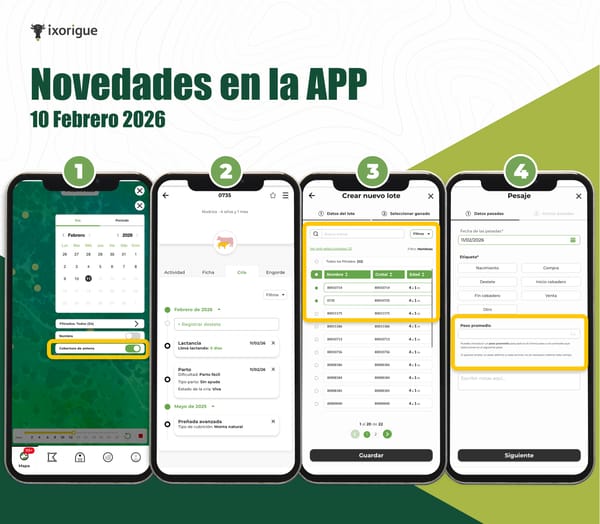 Novedades versión 2.11.0.0