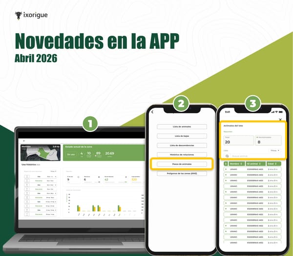 Novedades versión 2.15.1